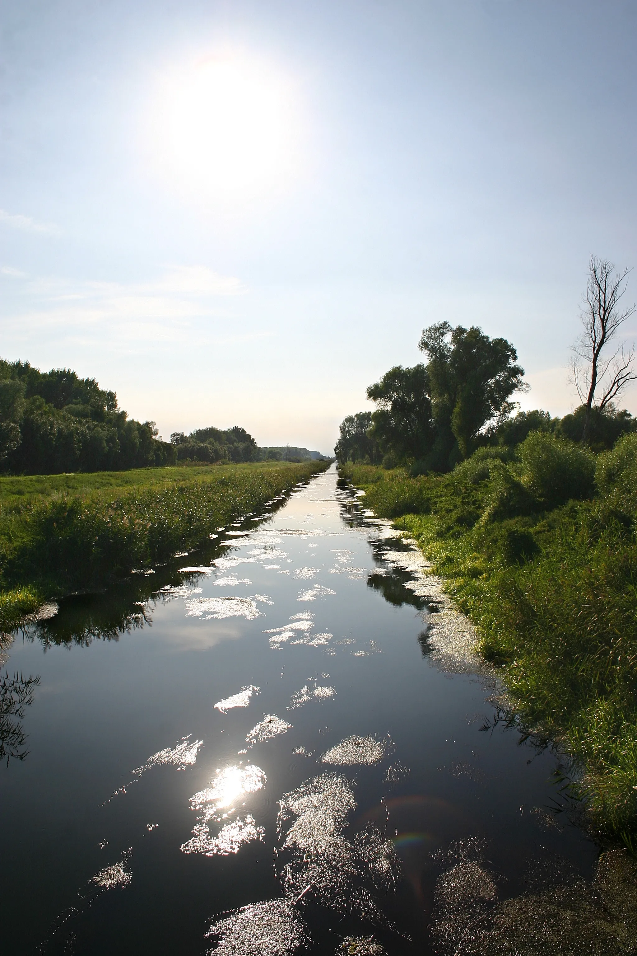 Photo showing: Einser-Kanal Richtung Westen (in Richtung Neusiedler See) bei der Brücke von Andau.