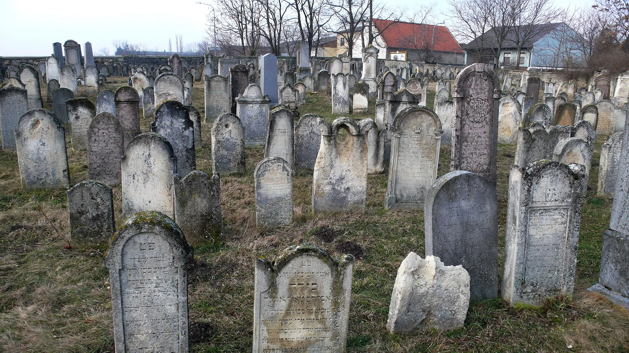 Photo showing: Jüdischer Friedhof in Frauenkirchen, Burgenland Österreich