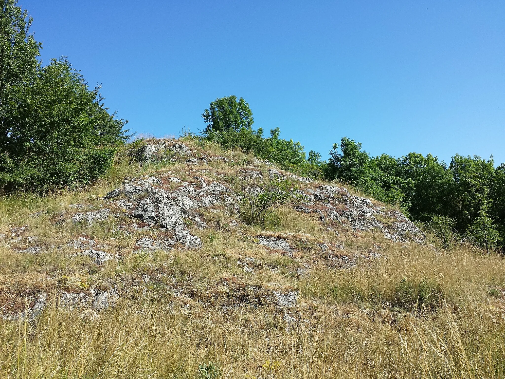 Photo showing: Semmelberg near Ernstbrunn, district Korneuburg, Lower Austria - ca. 330 m a.s.l.
Steppe (lime stone)