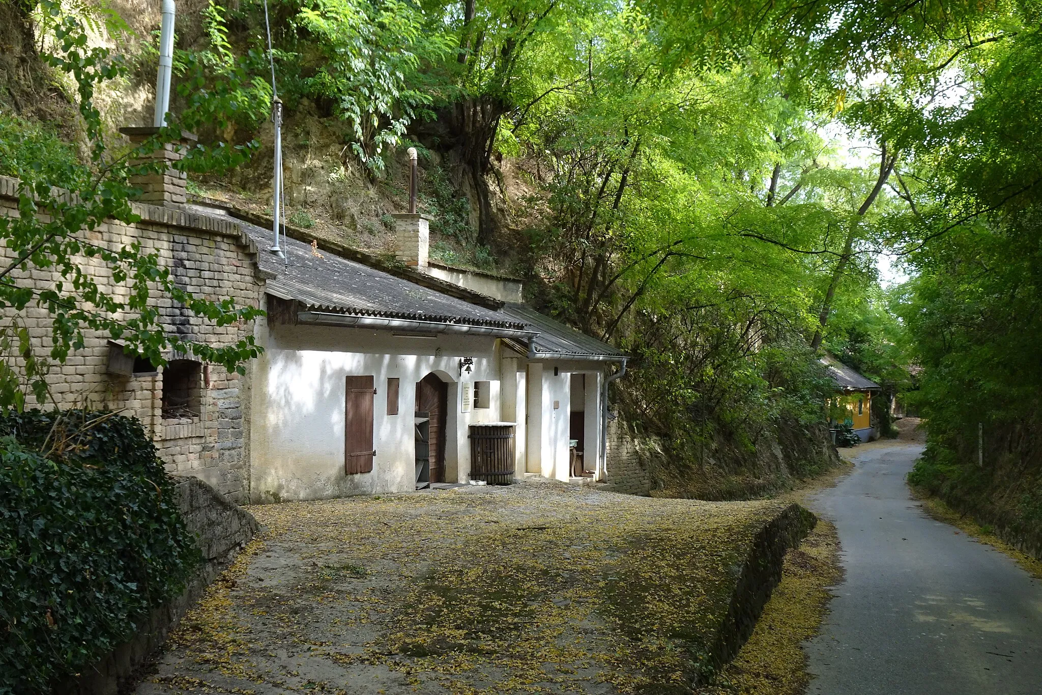 Photo showing: Kellergasse Hammergraben in der KG Fels am Wagram in Fels am Wagram