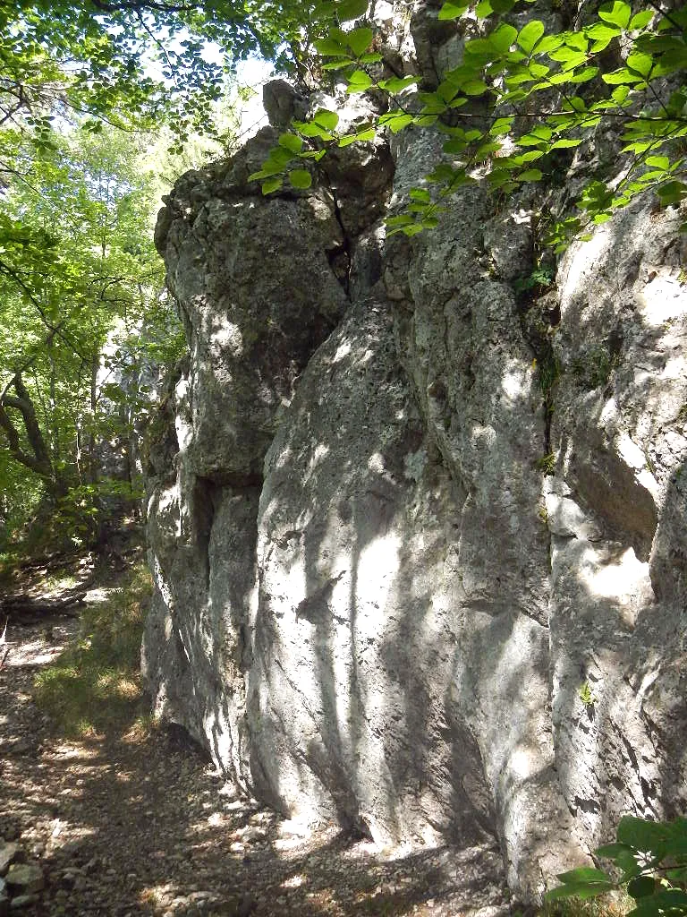 Photo showing: Klettergarten Gießwände in de:Wassergspreng (Gemeinde Hinterbrühl), Bezirk Mödling, Niederösterreich, südlich von Wien: Gelände