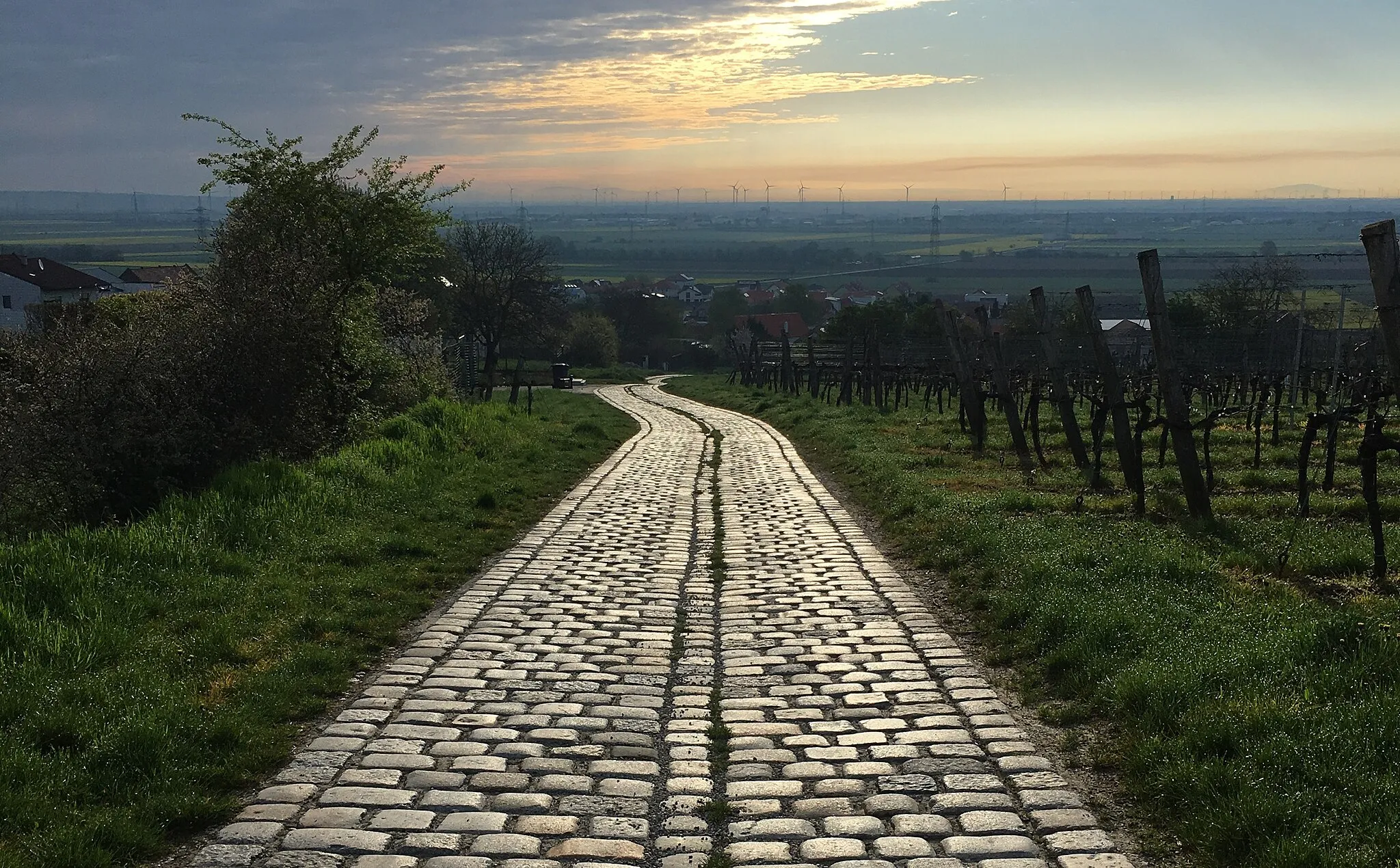 Photo showing: Hagenbrunn, Blick über Aichleitenweg Richtung Gerasdorf