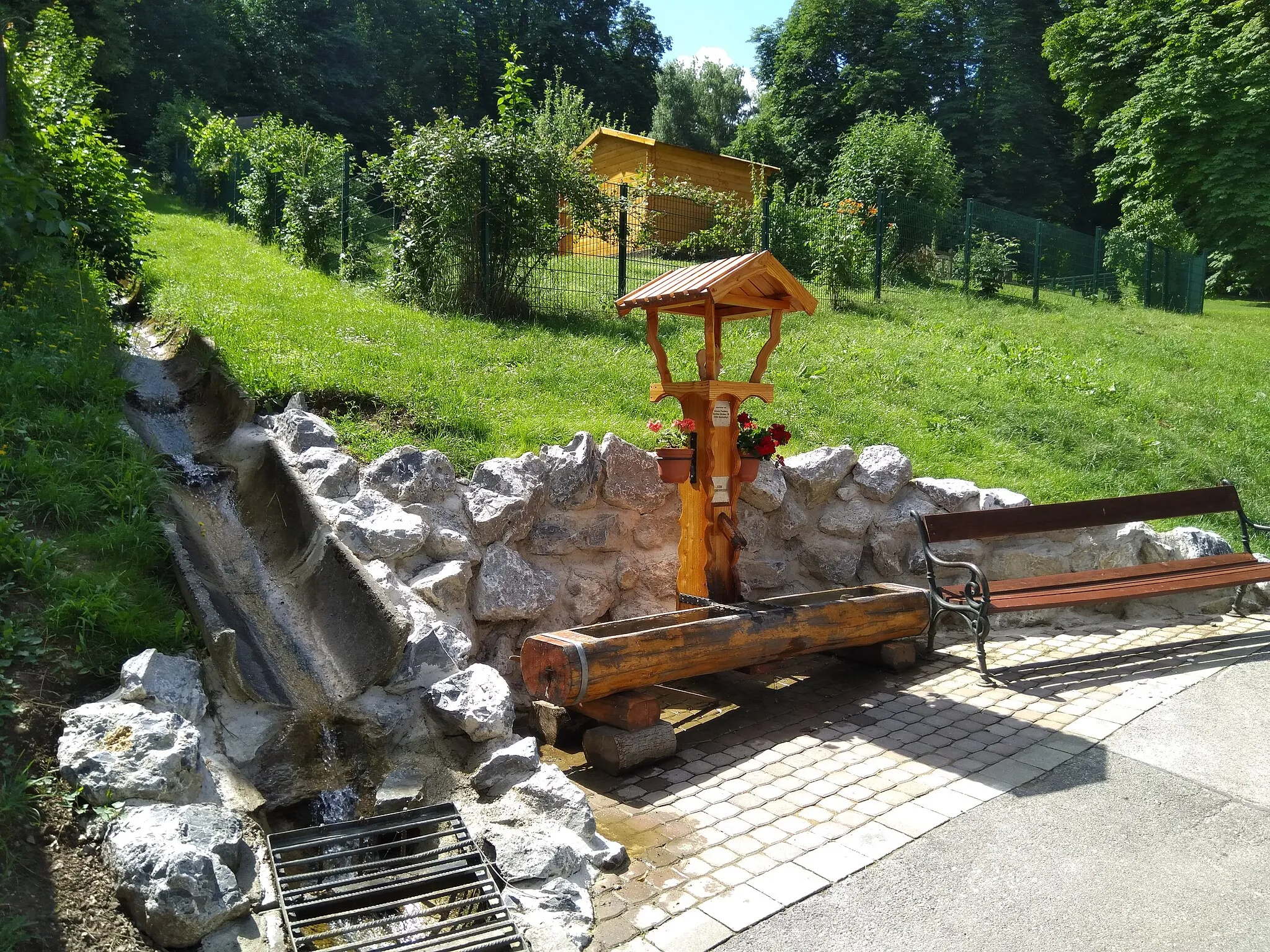 Photo showing: Foto einer Ziertränke im Naturpark Föhrenberge in Kaltenleutgeben.