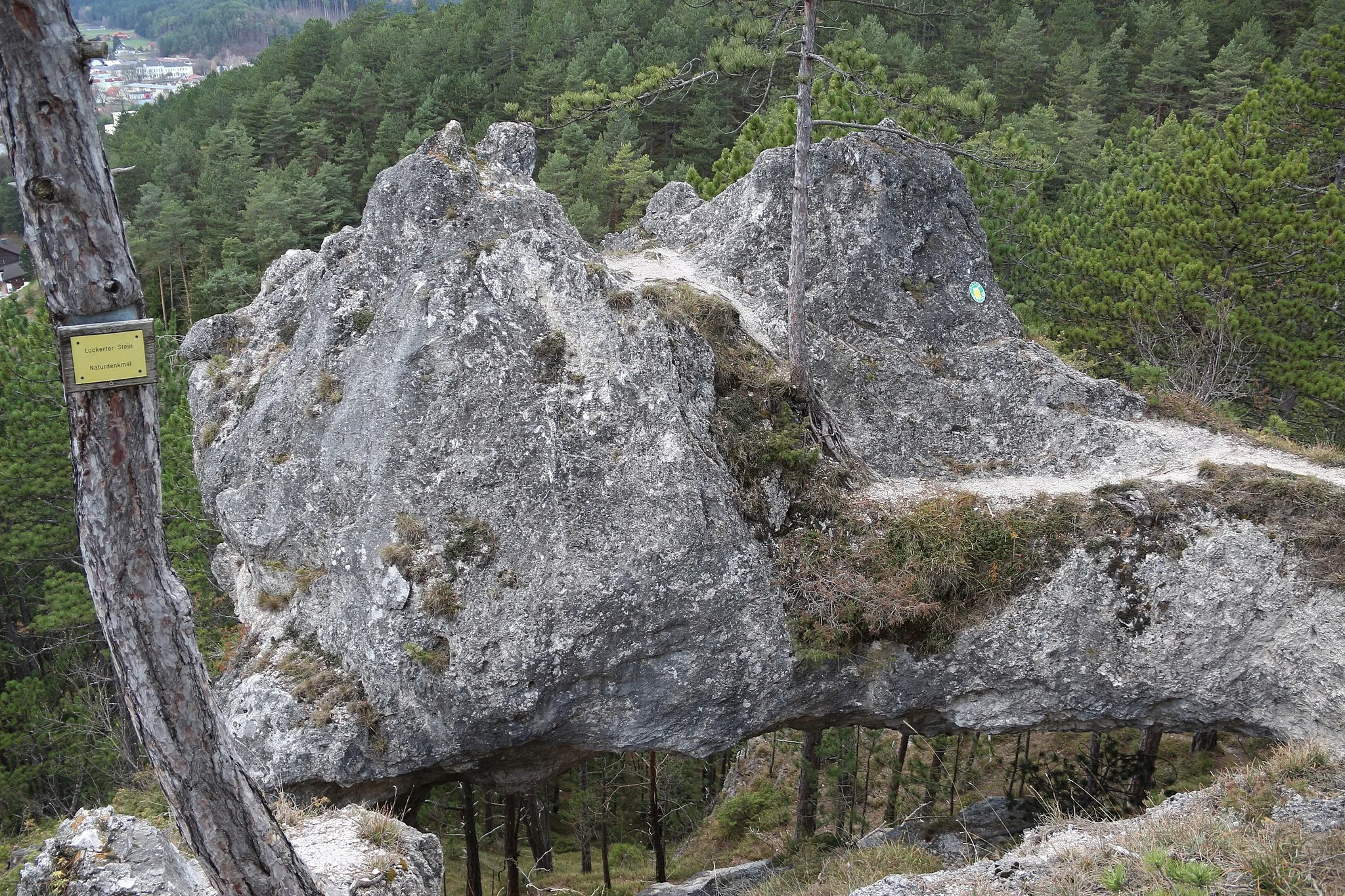 Photo showing: This media shows the natural monument in Lower Austria  with the ID WB-079.
