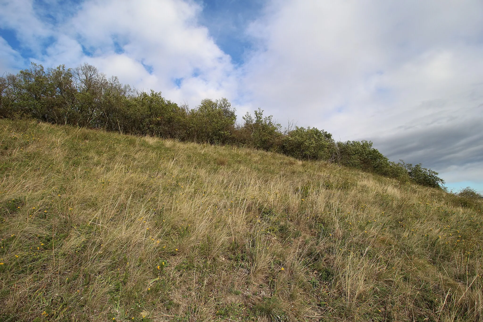 Photo showing: This media shows the nature reserve in Lower Austria  with the ID 32.