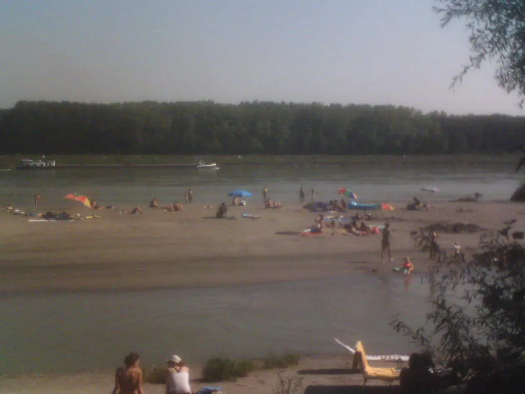 Photo showing: Picture taken by myself. It shows an island caused by the big 2002-flooding of the en:Danube. In summer the island is used as beach.