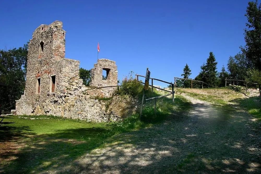 Photo showing: Nachdem die Seisenburg seit den 1950ern einer Ruine glich, wurde um 1998 ein Verein gegründet, der bis heute versucht das übrig gebliebene Mauerwerk zu restaurieren.