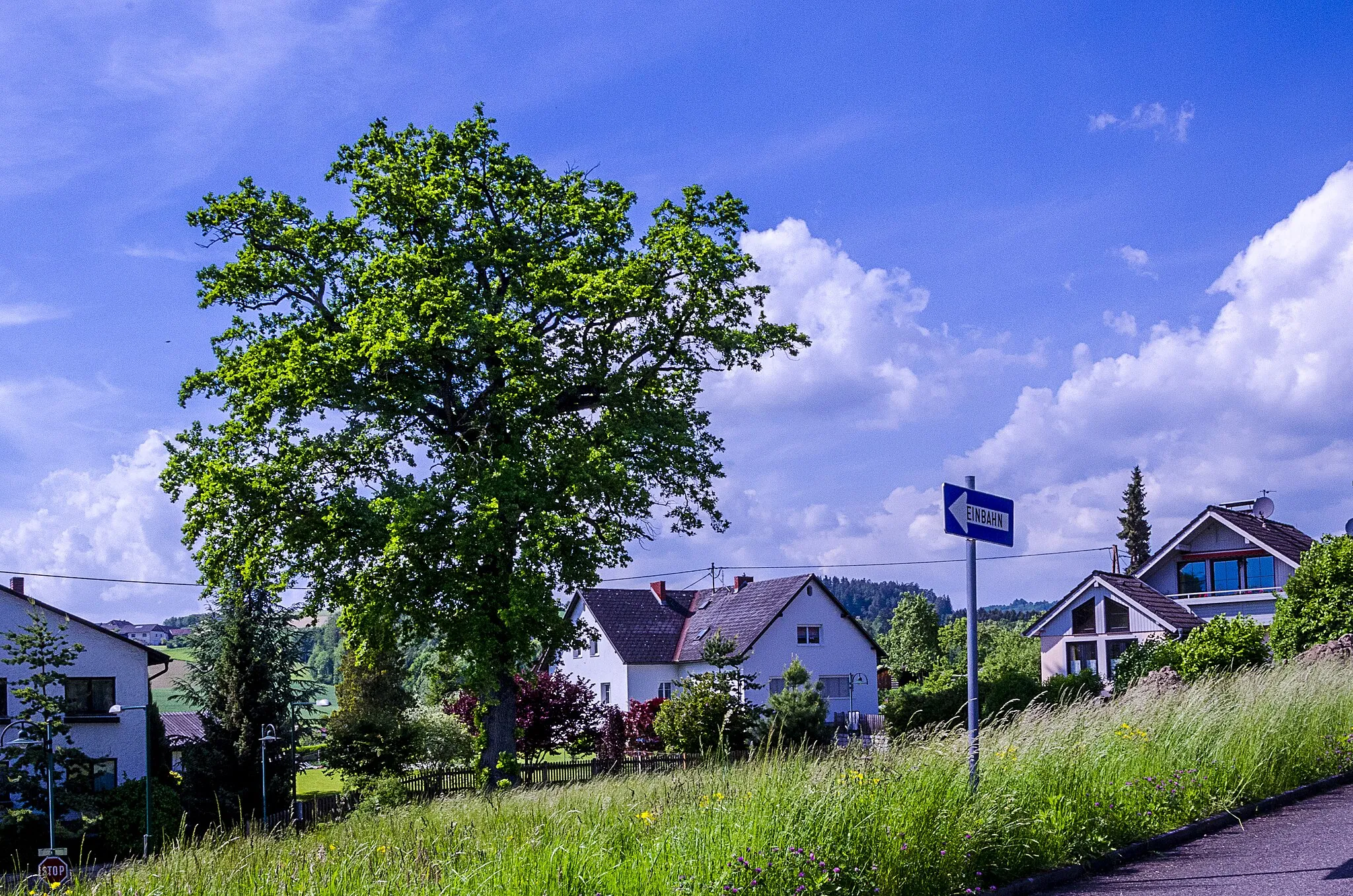 Photo showing: This media shows the natural monument in Upper Austria  with the ID nd368.