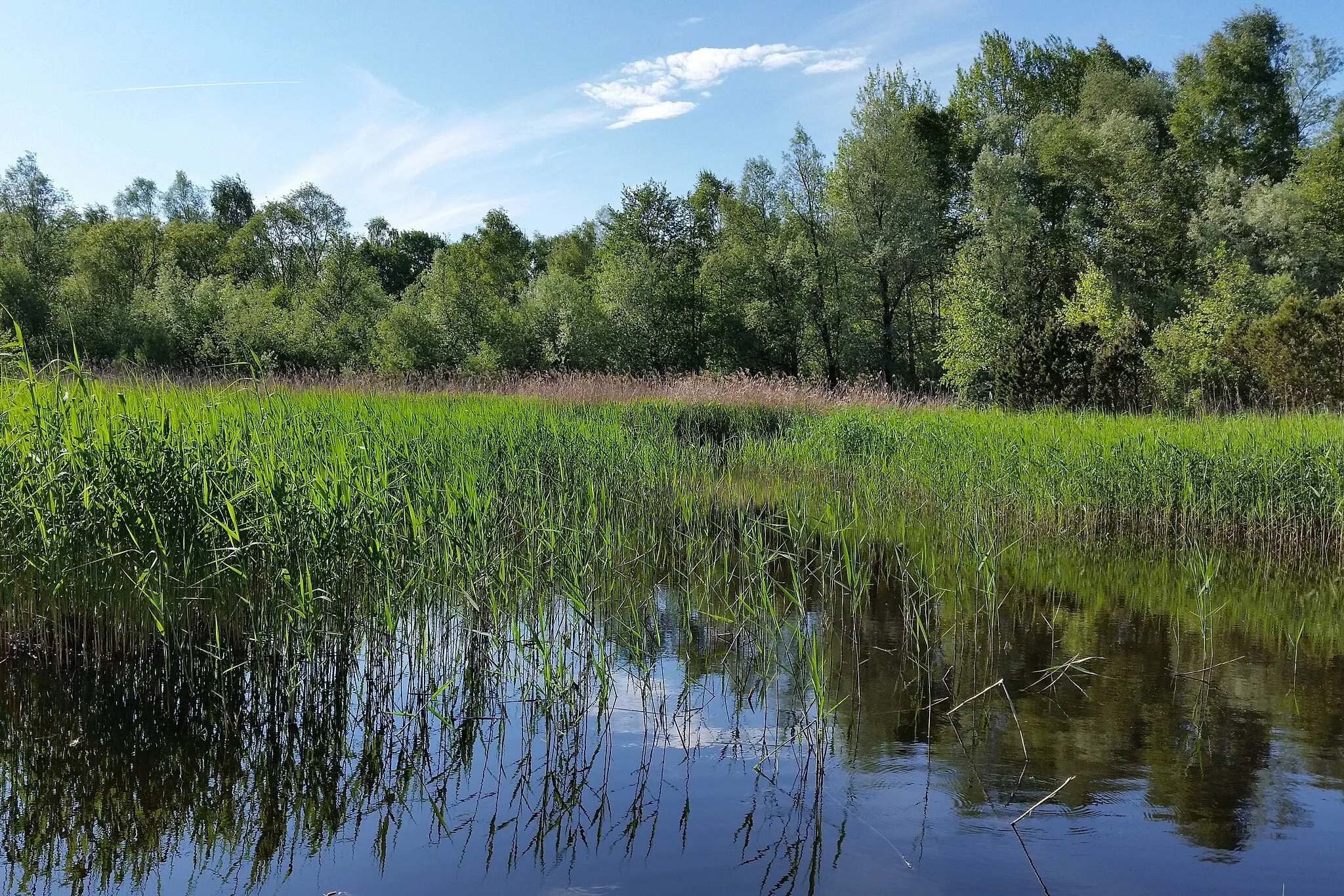 Photo showing: This media shows the nature reserve in Salzburg  with the ID NSG00028.