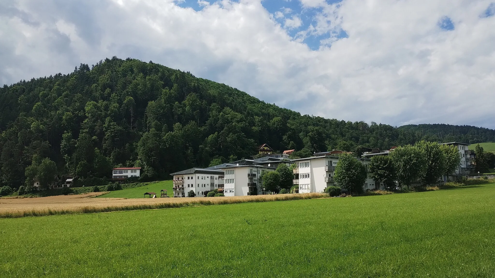 Photo showing: View of the Zigöllerkogel with Hans-Gross Street