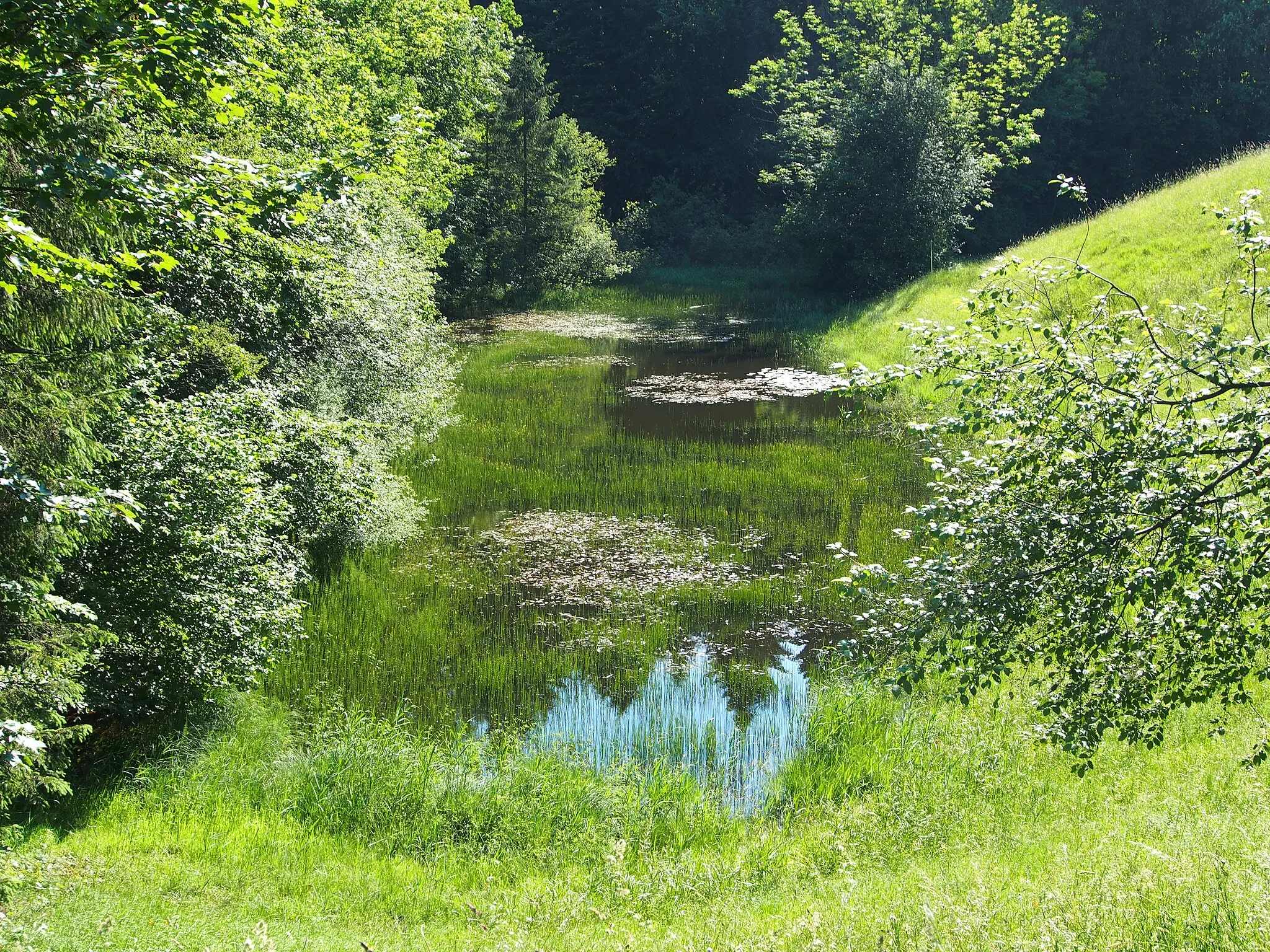 Photo showing: This media shows the natural monument in the Tyrol  with the ID ND_5_34.