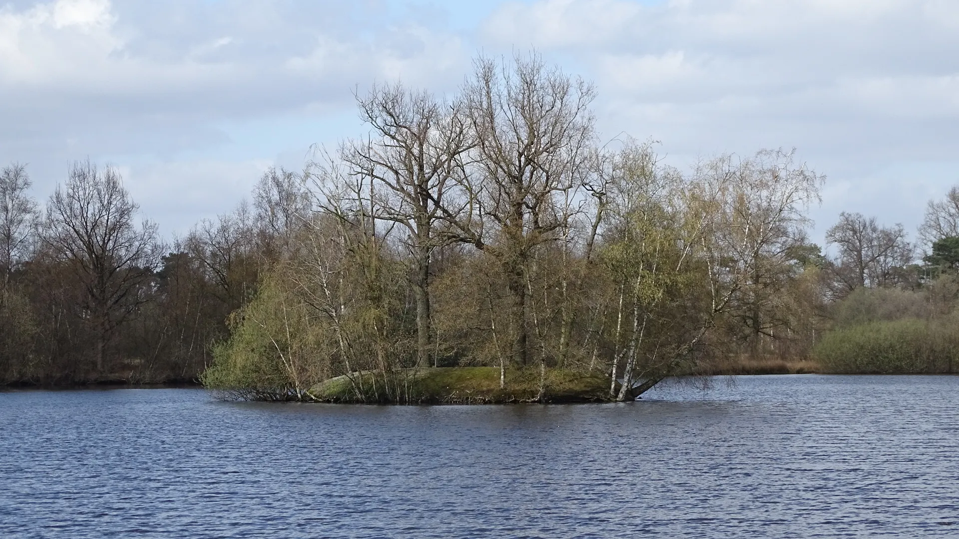 Photo showing: Eiland in het Bootjesven nabij de Wortel-Kolonie in Wortel. Niet ver van Hoogstraten