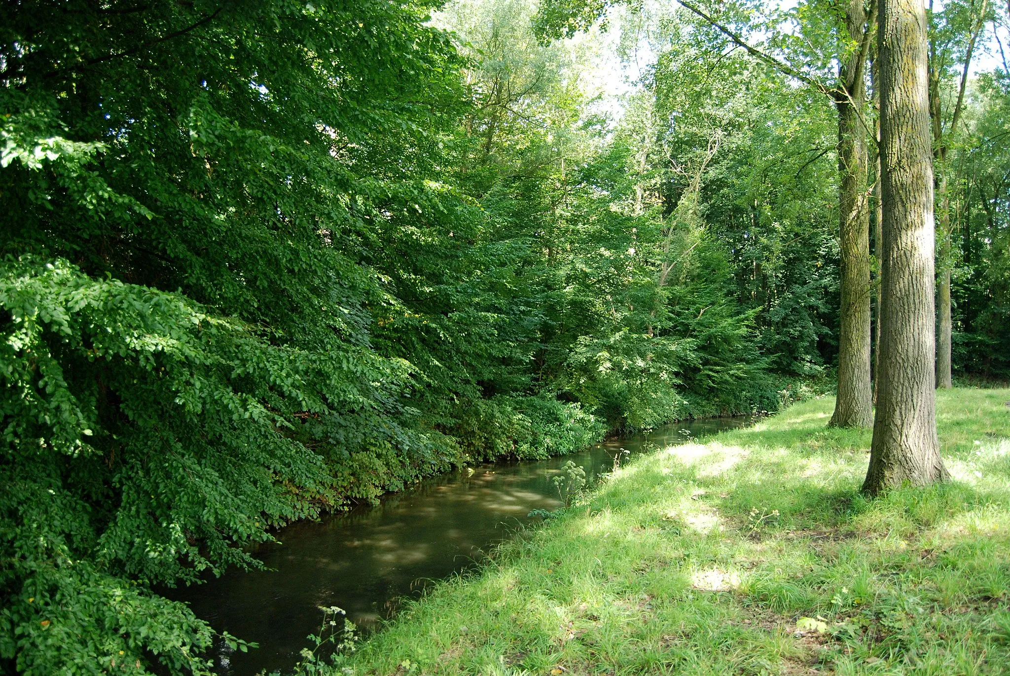 Photo showing: Belgique - Brabant wallon - Ottignies - la Dyle à la sortie d'Ottignies