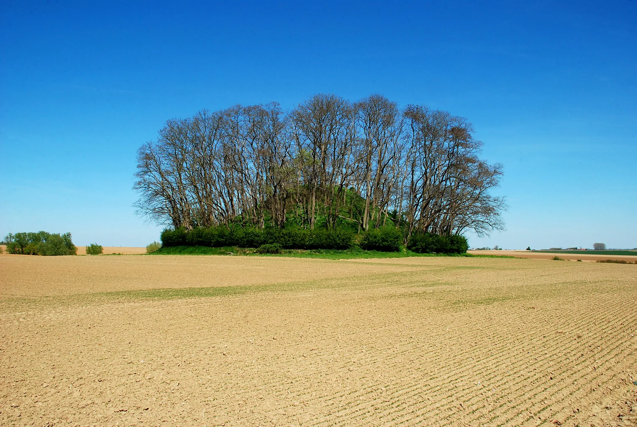 Photo showing: Belgique - Brabant wallon - Ramillies - Grand-Rosière-Hottomont - Tumulus d'Hottomont