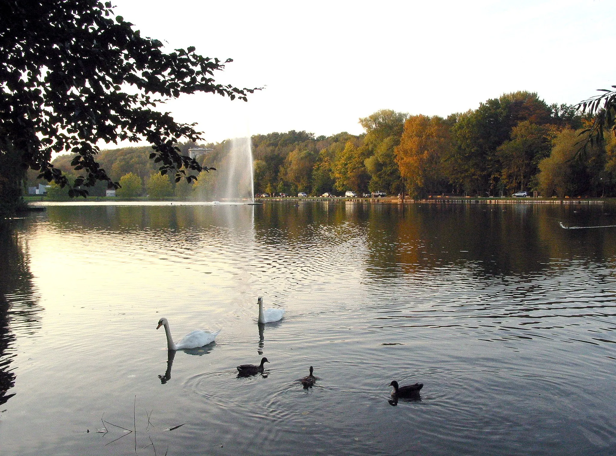 Photo showing: Genval (Belgium), the lake.