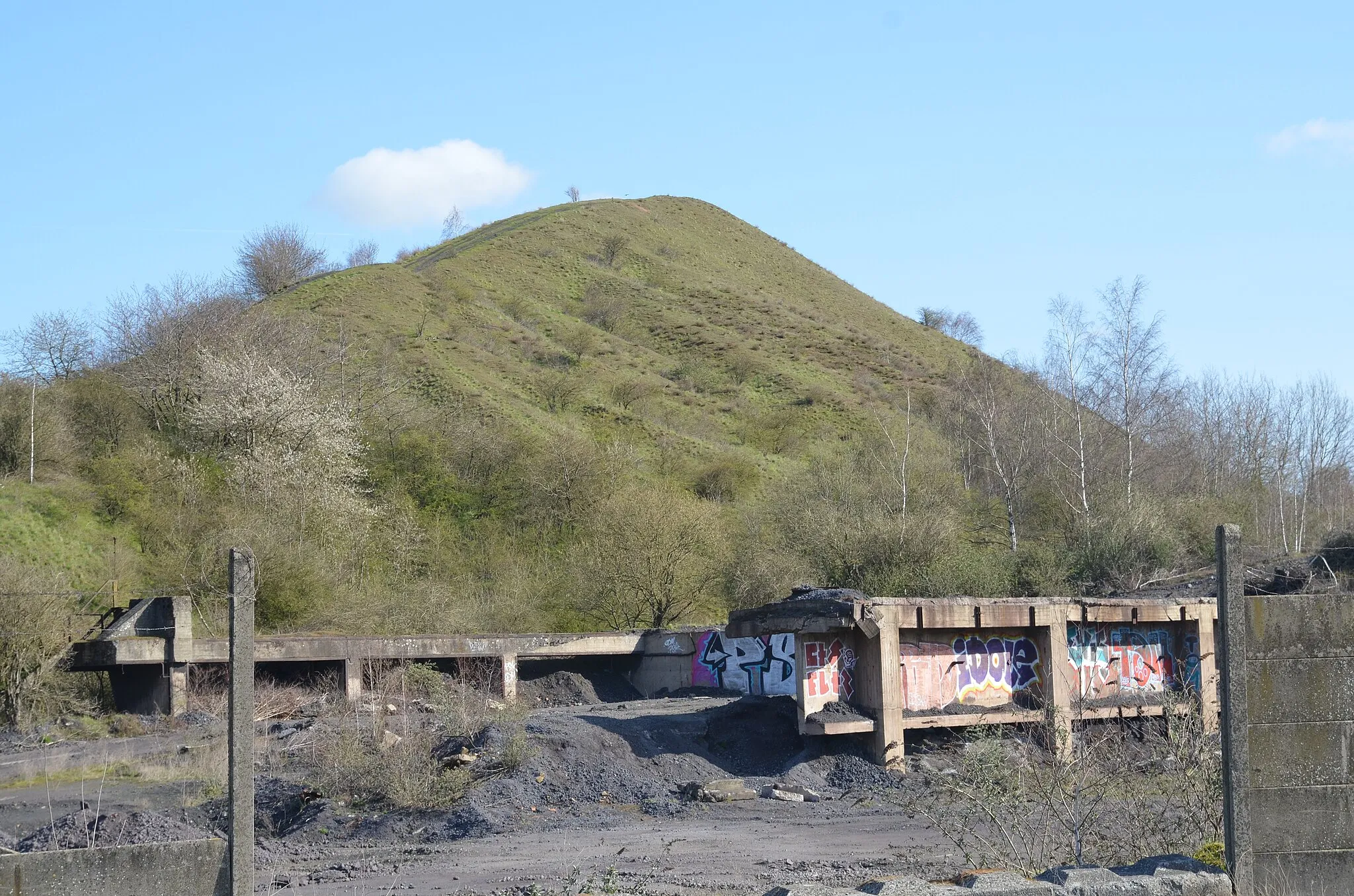 Photo showing: Dampremy (Charleroi-Belgique)- Terril Saint-Théodore est, dit « le Nouveau ».