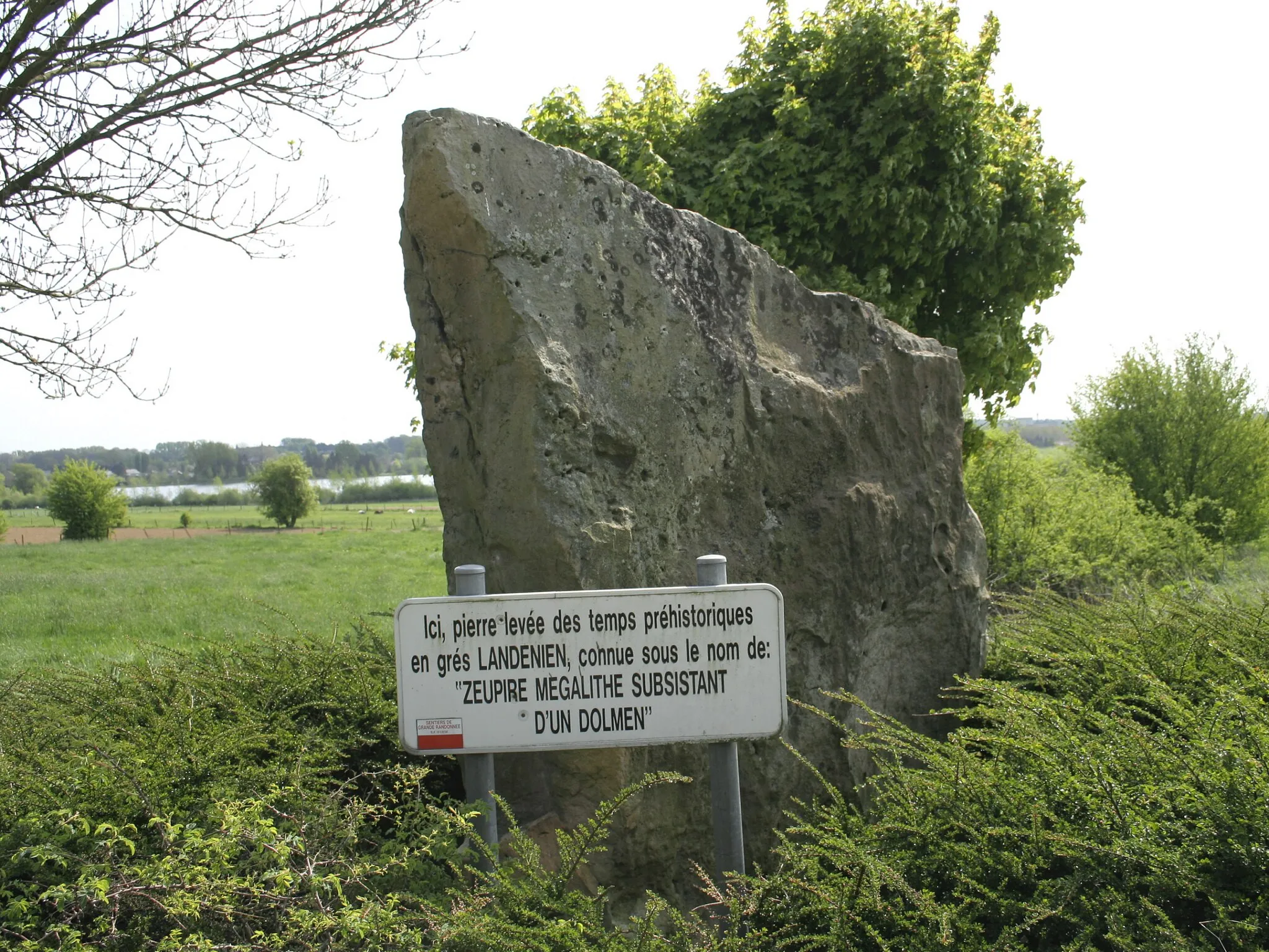 Photo showing: Gozée (Belgium), the Pierre "Levée" (Zeupîre) megalith.