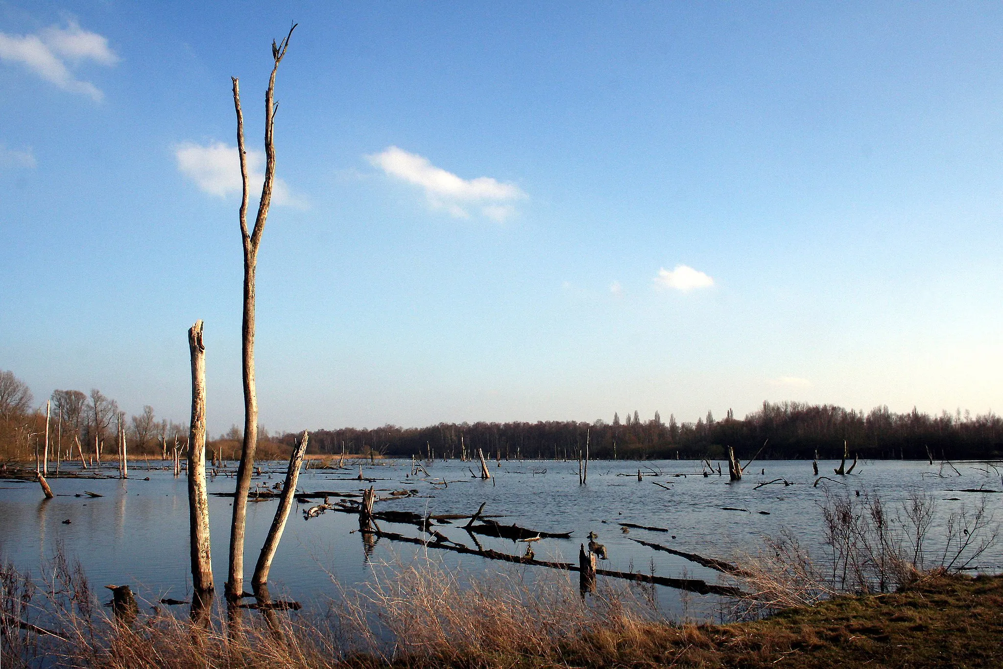 Photo showing: Hensies (Bèlgium), the Van Gheyt pond.