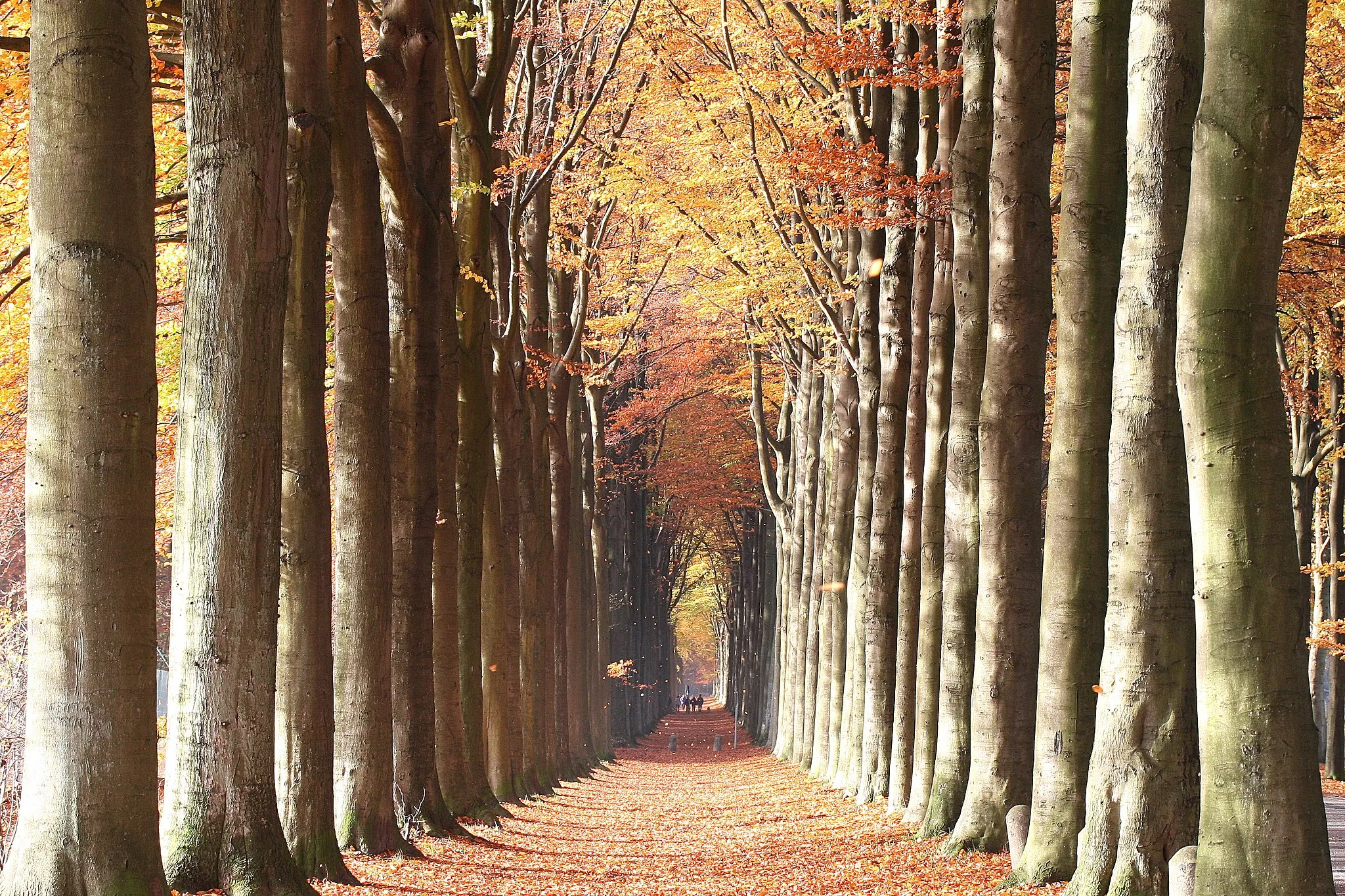 Photo showing: This is a photo of a monument in Wallonia, number: