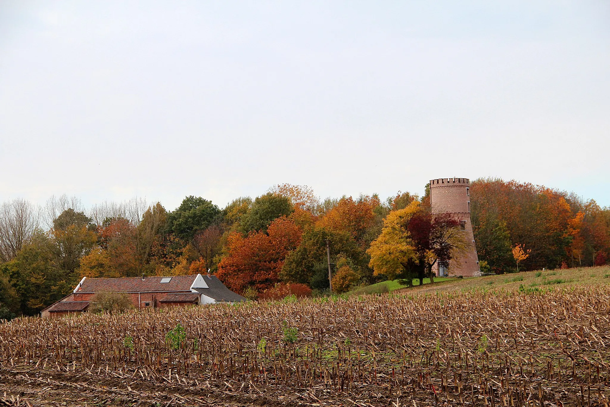 Photo showing: Maisières (Belgium), the "Du Moulin" farm and the "Vilain XIIII" wood.