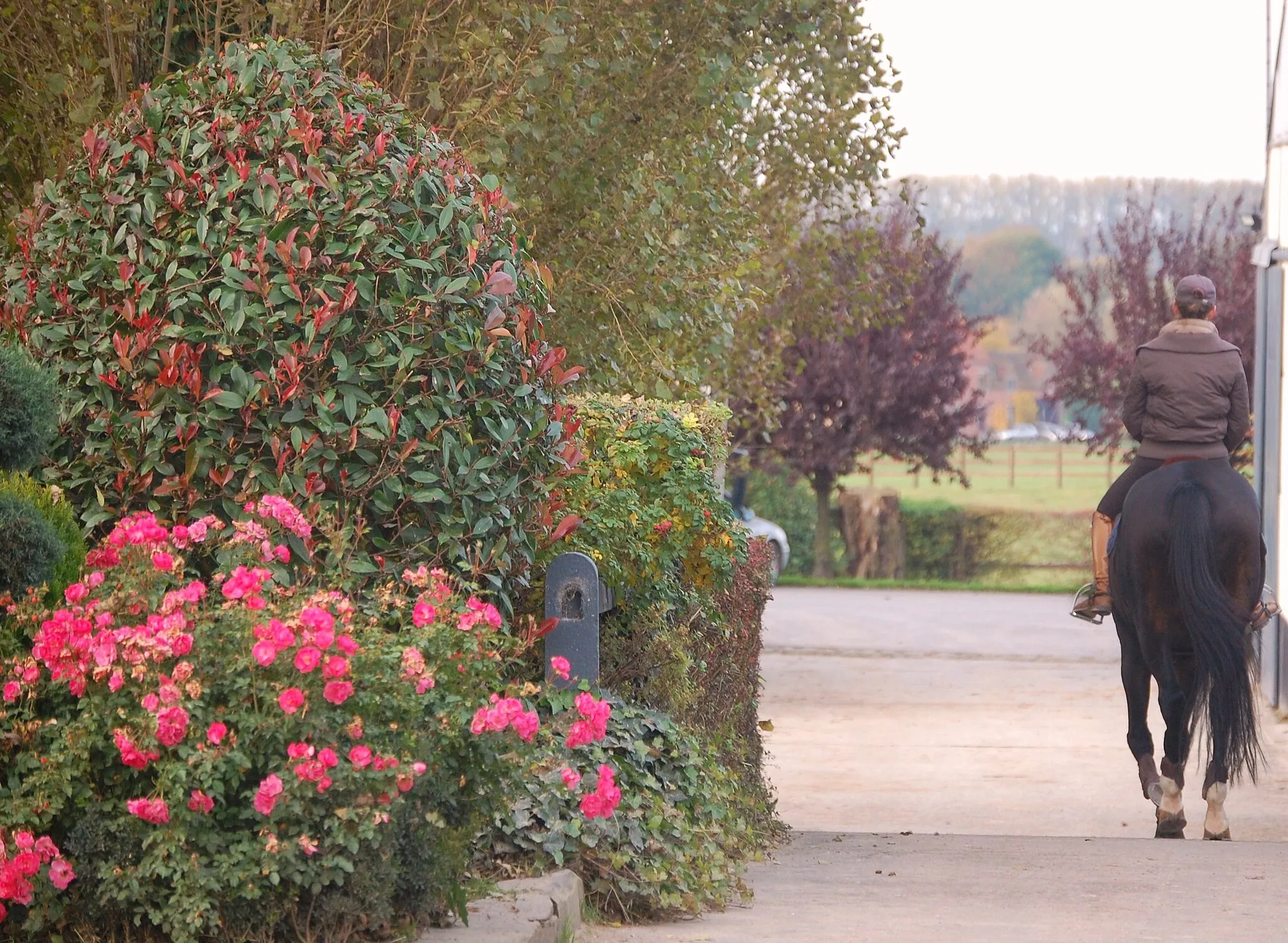 Photo showing: Couleurs d'Automne dans les allées des écuries...