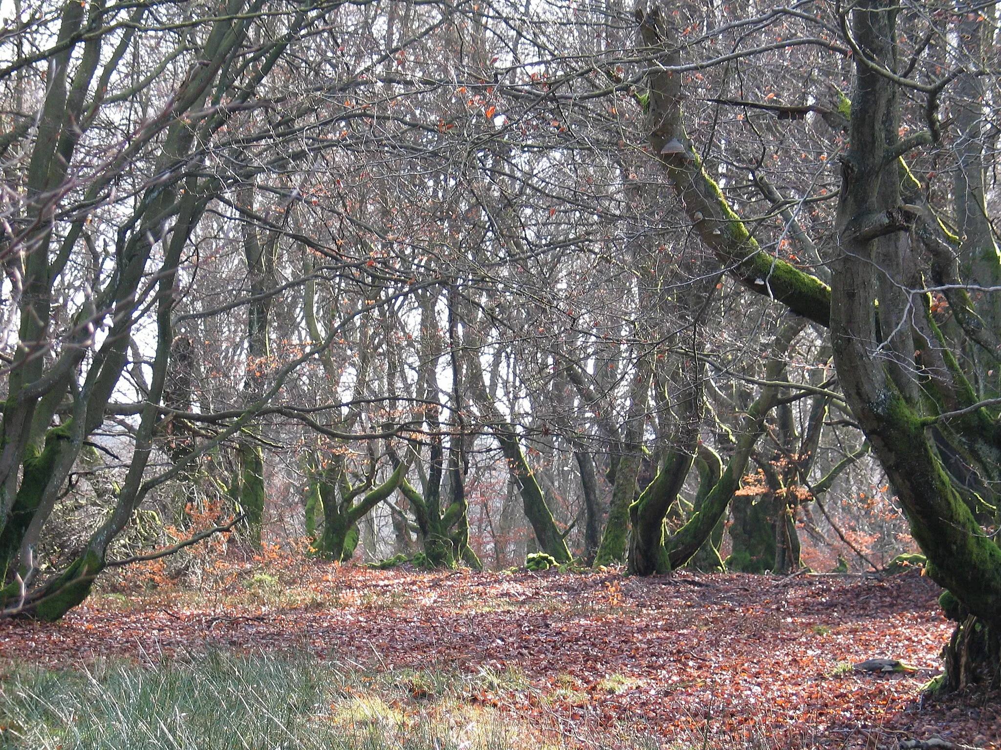 Afbeelding van Prov. Liège