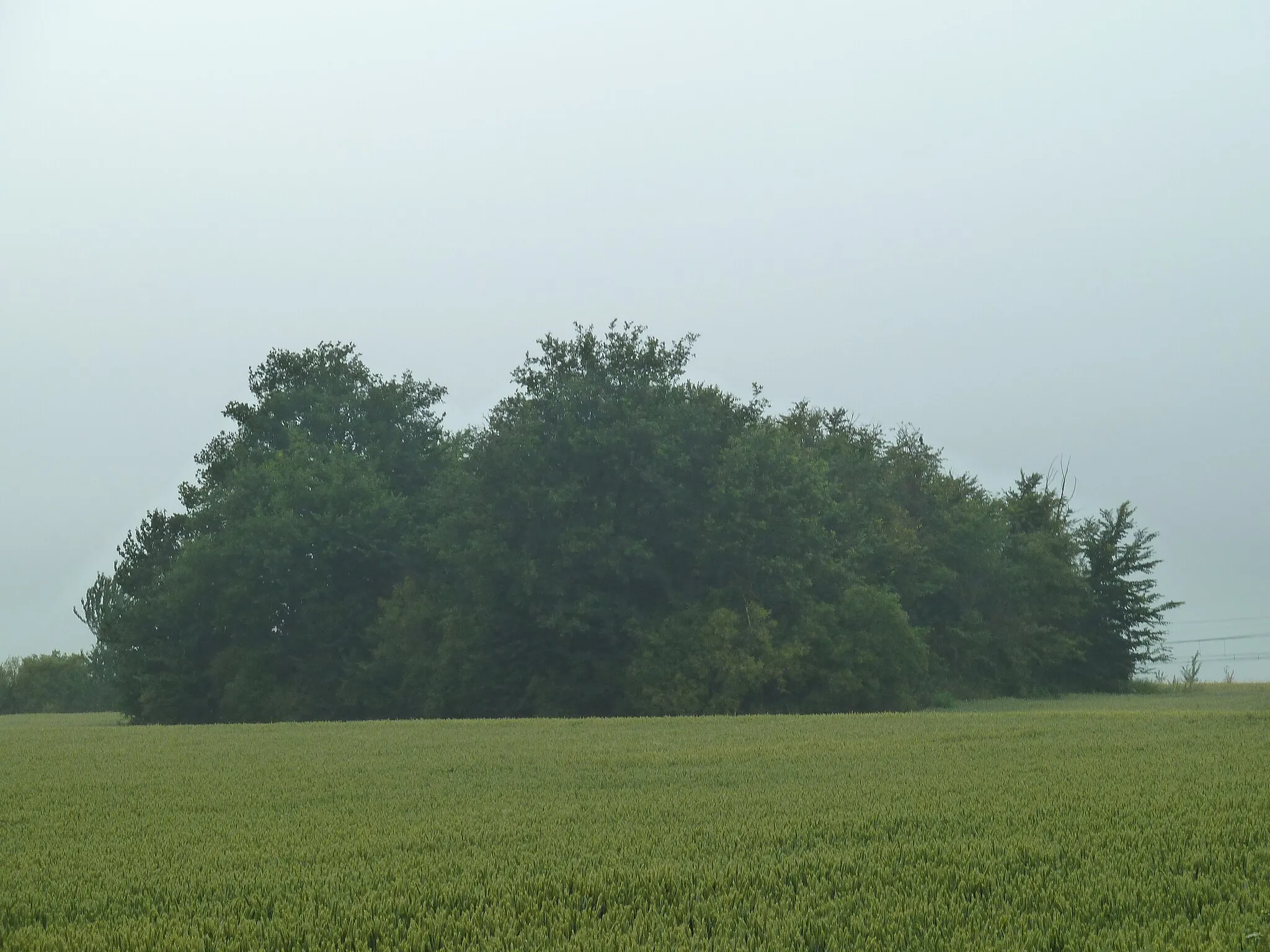 Photo showing: This is a photo of a monument in Wallonia, number: