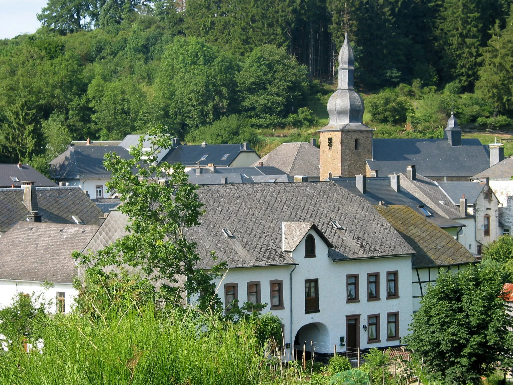 Photo showing: Burg-Reuland (Belgium), the village.