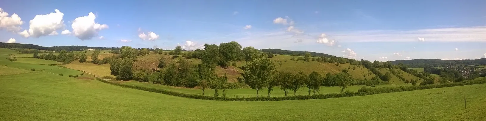 Photo showing: Les pelouses calcaires du coteau de Mont (3 ha), abandonnées par l’agriculture, étaient en voie avancée de recolonisation forestière, embroussaillées à 80 %.  Depuis 2010, le site de haut intérêt écologique, restauré par l'asbl Natagora (pâturage de moutons, fauchage, ramassage), retrouve progressivement sa richesse d’antan, une faune et une flore remarquables avec de nombreuses espèces rares et protégées.  
En son centre, l'on aperçoit une carrière désaffectée (0,47 ha), creusée à flanc de coteau, exploitée pour son calcaire dolomitique du Tournaisien, unique en Wallonie.