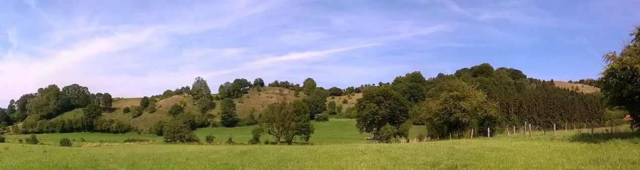 Photo showing: La réserve du Thier du Gibet (4 ha) à Theux, bien connu localement pour sa célèbre croix, occupe une position centrale dans la « Fenêtre de Theux » constituée d’affleurements calcaires au sein du paysage ardennais. Identifié comme précieux depuis des décennies, cet ilot calcaire abrite une végétation de grand intérêt.  L’embroussaillement avancé a nécessité, depuis 2010, dans le cadre du projet LIFE « Hélianthème », des travaux de réouverture importants (pâturage de moutons, fauchage, ramassage) régulièrement réalisés.