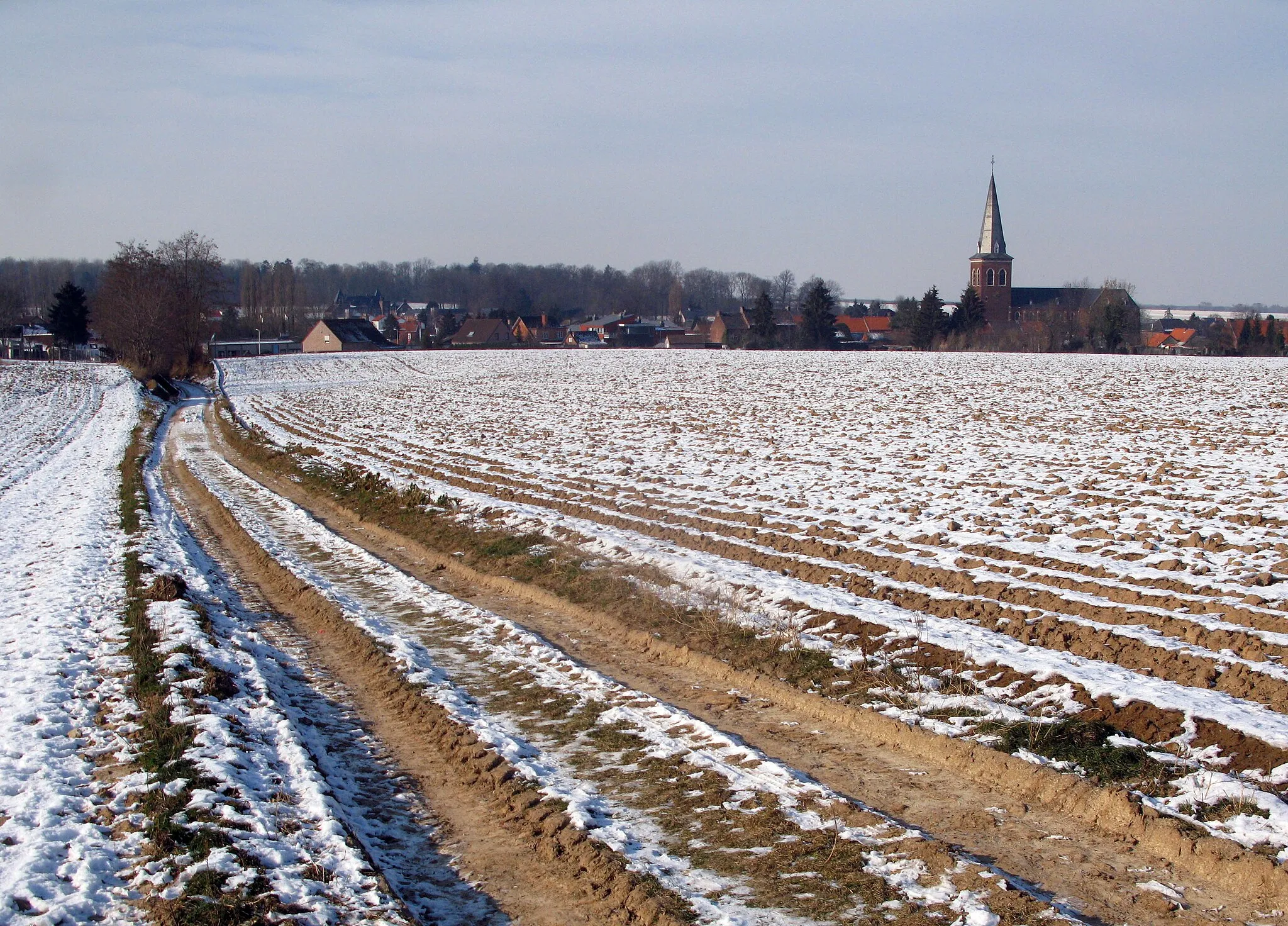 Image of Prov. Limburg (BE)