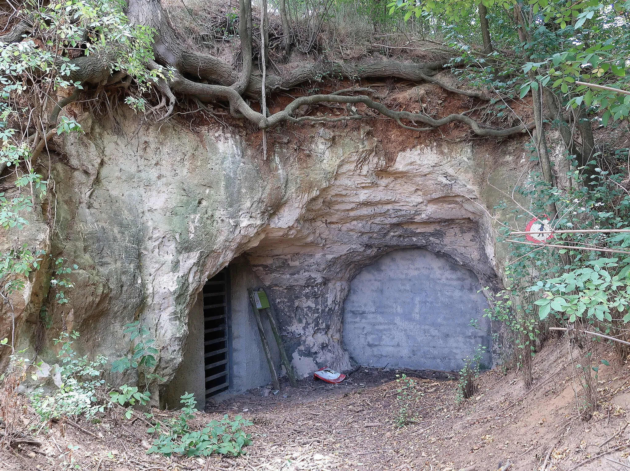 Photo showing: Cave De Coolen in Riemst on the border of the districts Millen and Val-Meer is a marl quarry (limestone). The system of tunnels of more than 1 km has several entrances next to each other in a small sloping forest.
