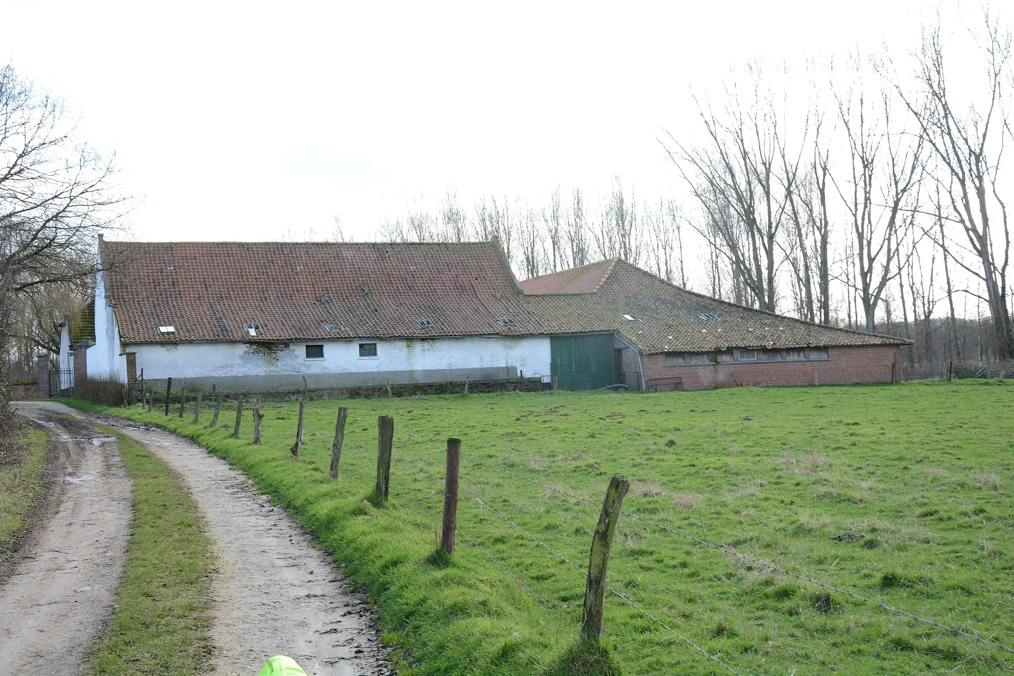 Bild von Prov. Limburg (BE)