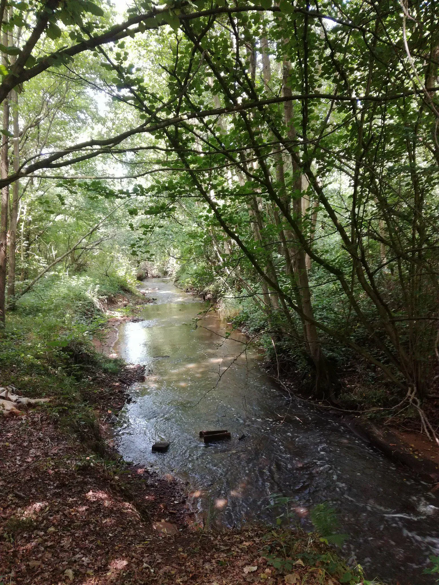 Photo showing: Laambeek in Zonhoven.