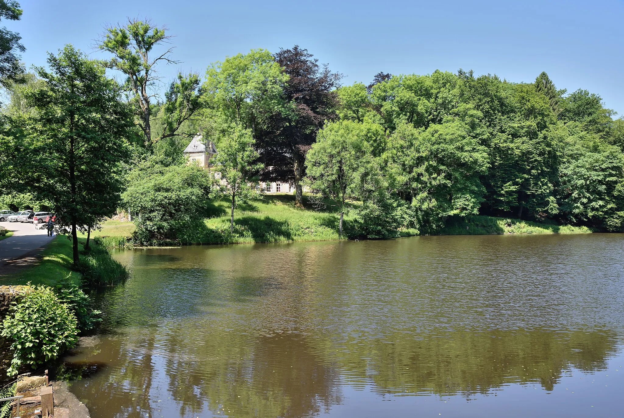 Photo showing: Pond at Pont-d'Oye in the Belgian commune of Habay. The castle is seen in the background at left.