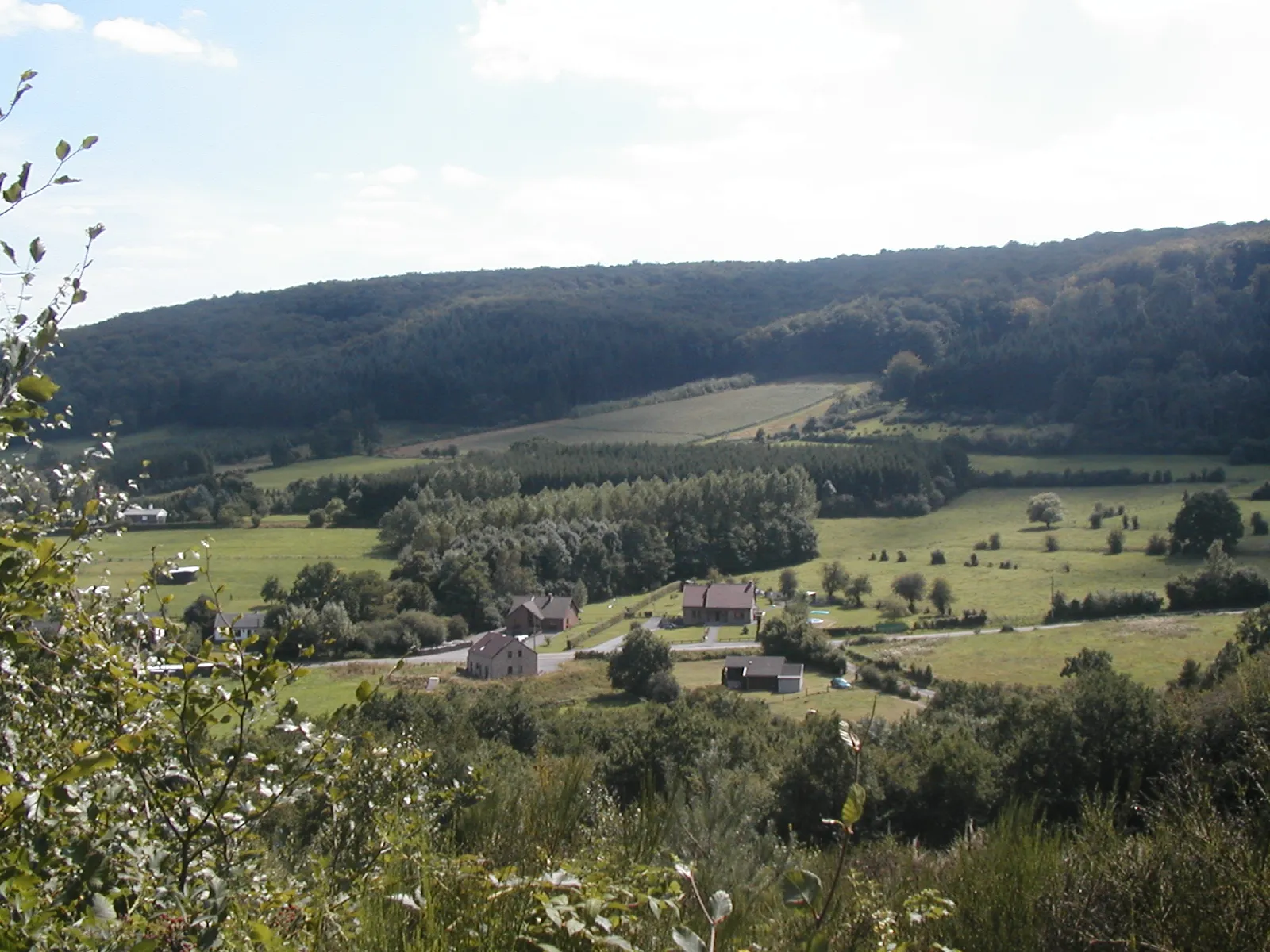 Photo showing: Hotton, Belgium, nature in Hotton municipality