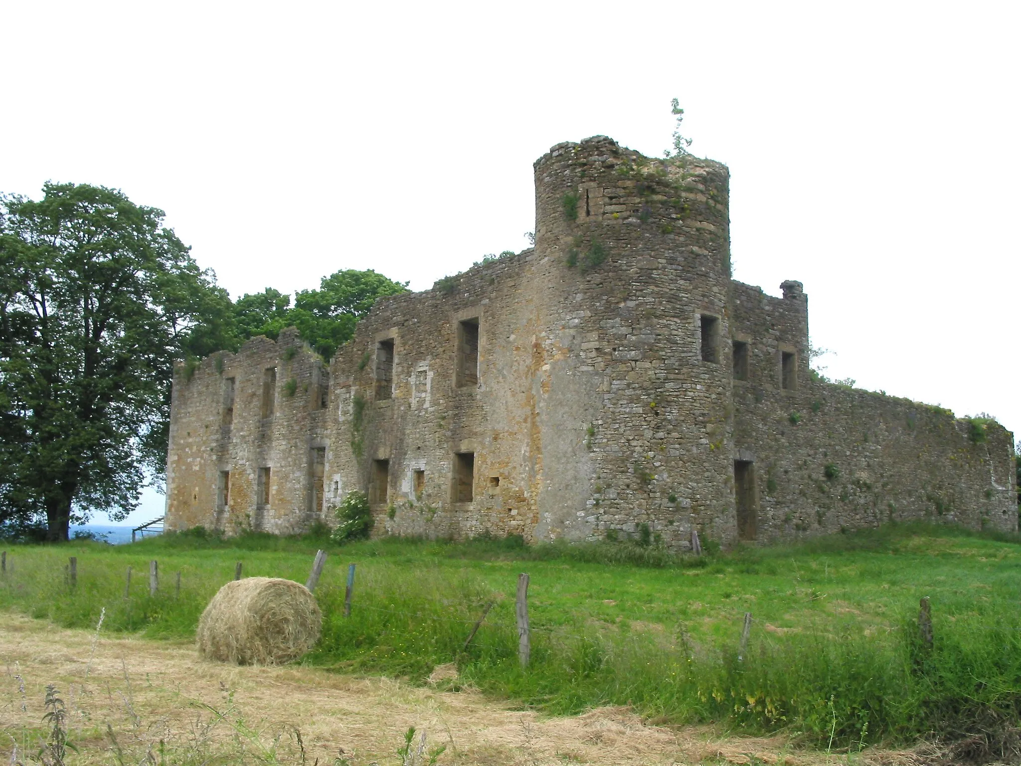 Photo showing: Montquintin, Belgium: "de Hontheim" castle ruins (15th–17th centuries).
