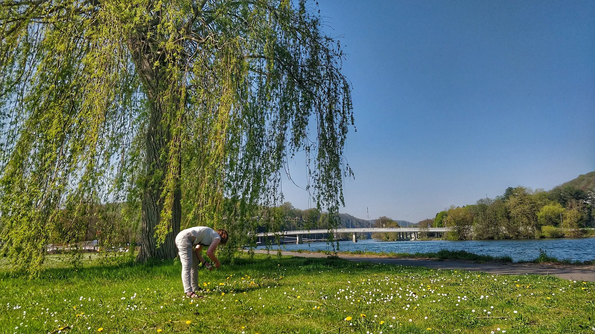 Image de Prov. Namur