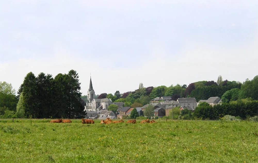 Photo showing: the village and the St. Martin church (1880), Assesse, Belgium