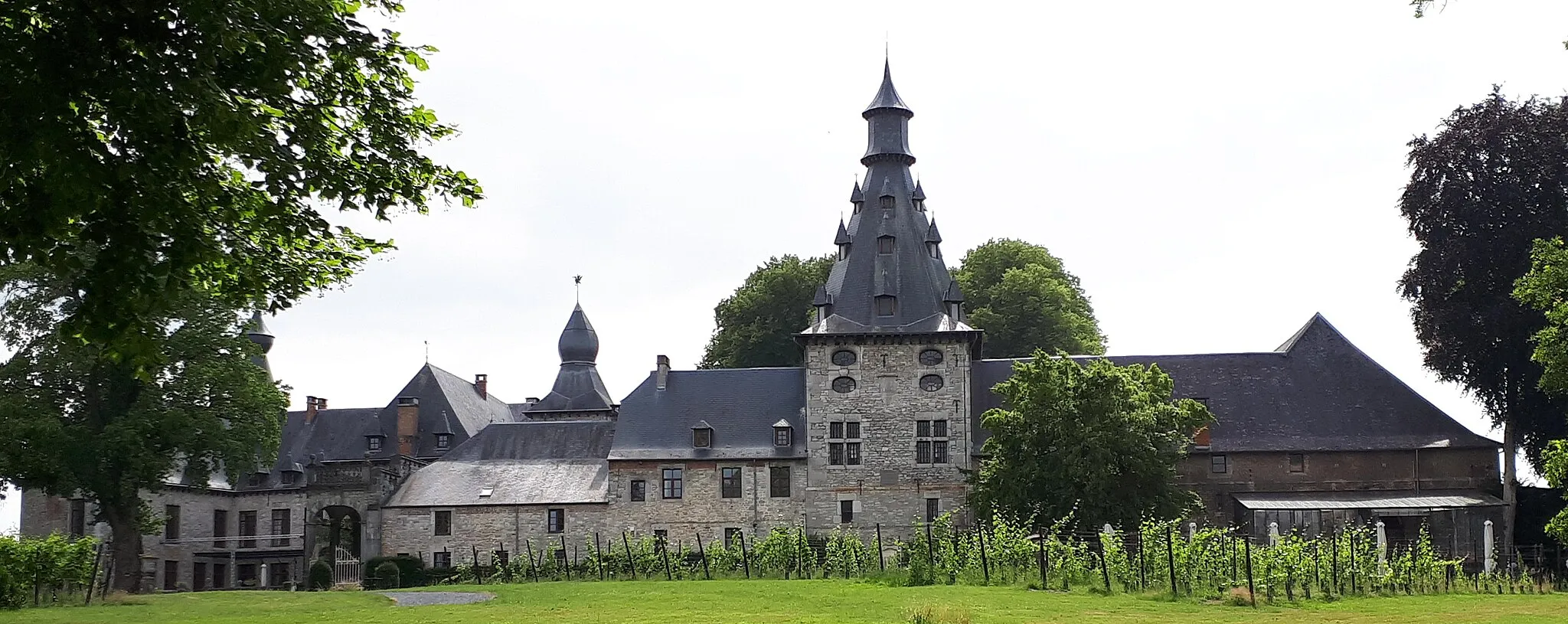 Photo showing: Château de Bioul vu de l'arrière