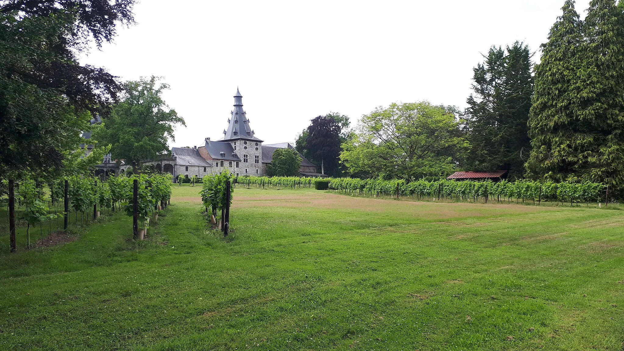 Photo showing: Viognoble du Château de Bioul