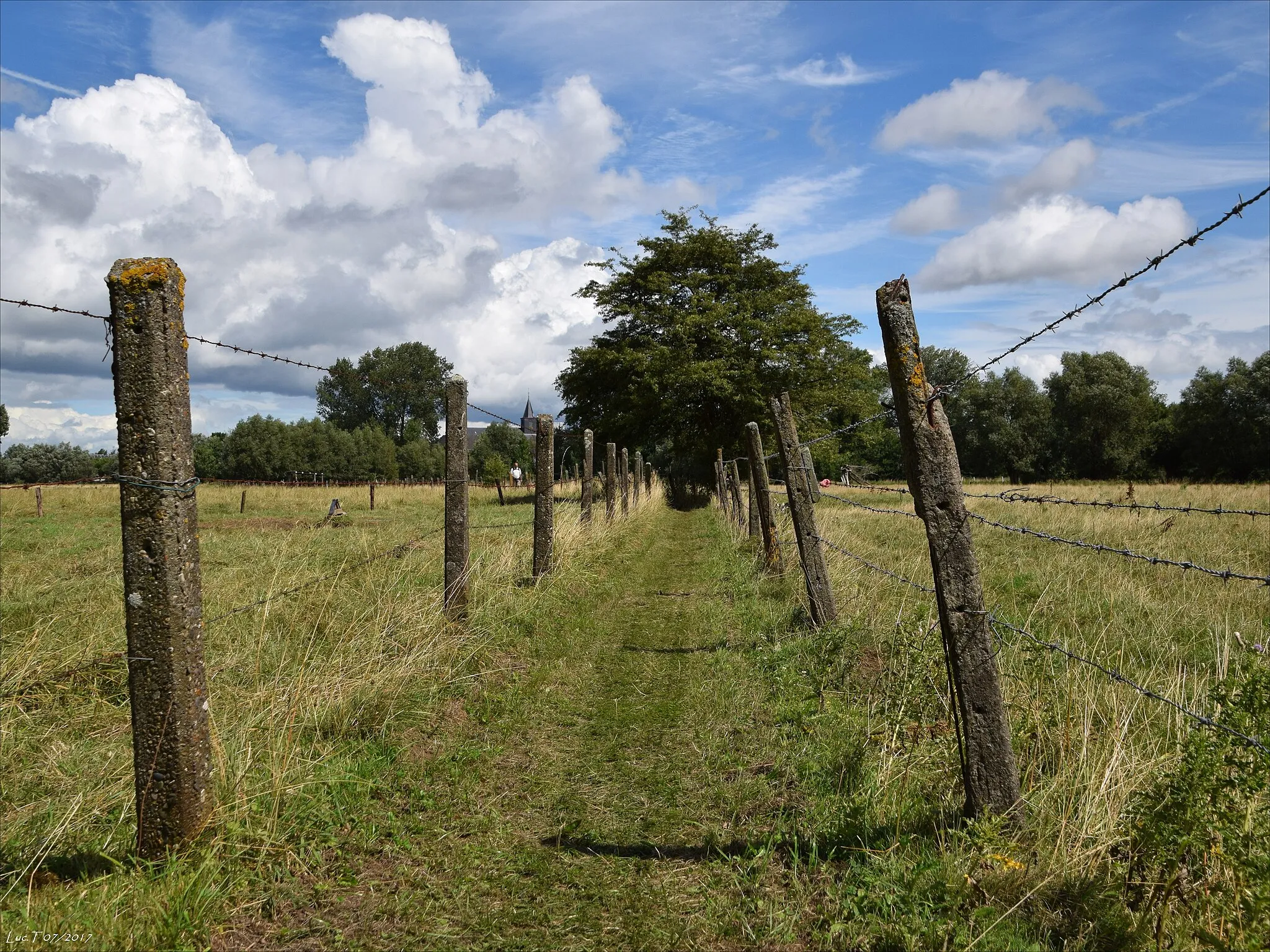 Photo showing: Denderbelle