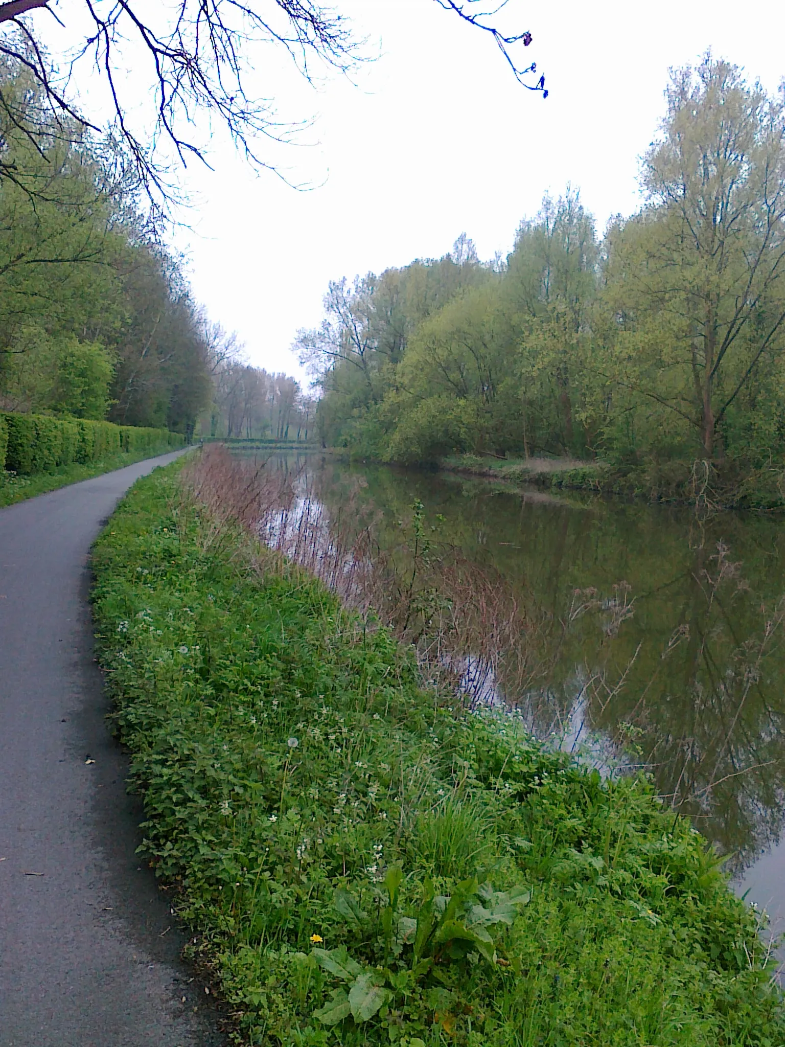 Photo showing: Pad langs de Dender in Aalst en Erembodegem op de fietsroute Denderende Steden