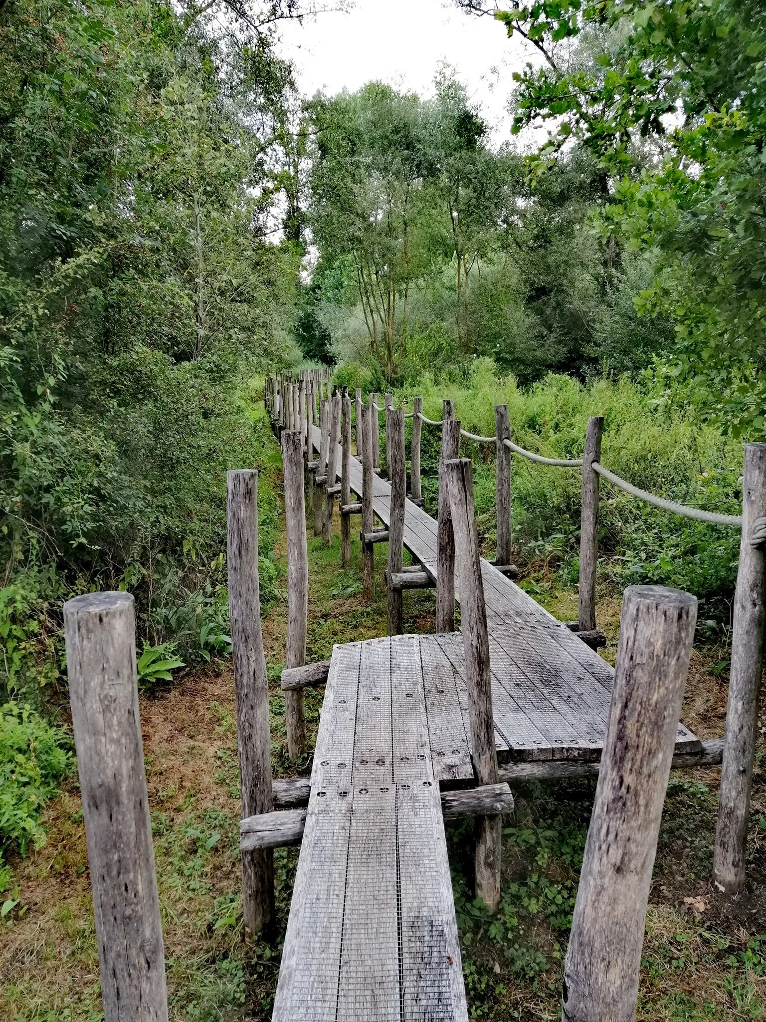 Image de Prov. Oost-Vlaanderen