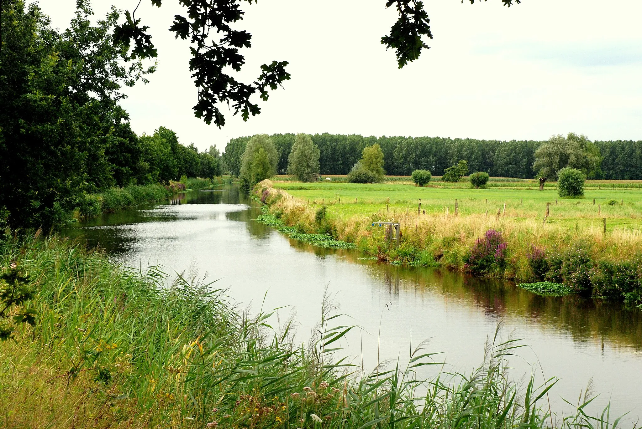 Photo showing: De Kalkenvaart in de Kalkense meersen (Kalken, Oost-Vlaanderen)