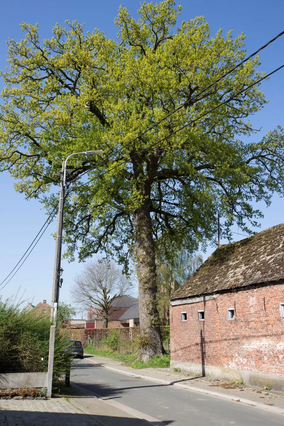 Image de Prov. Oost-Vlaanderen