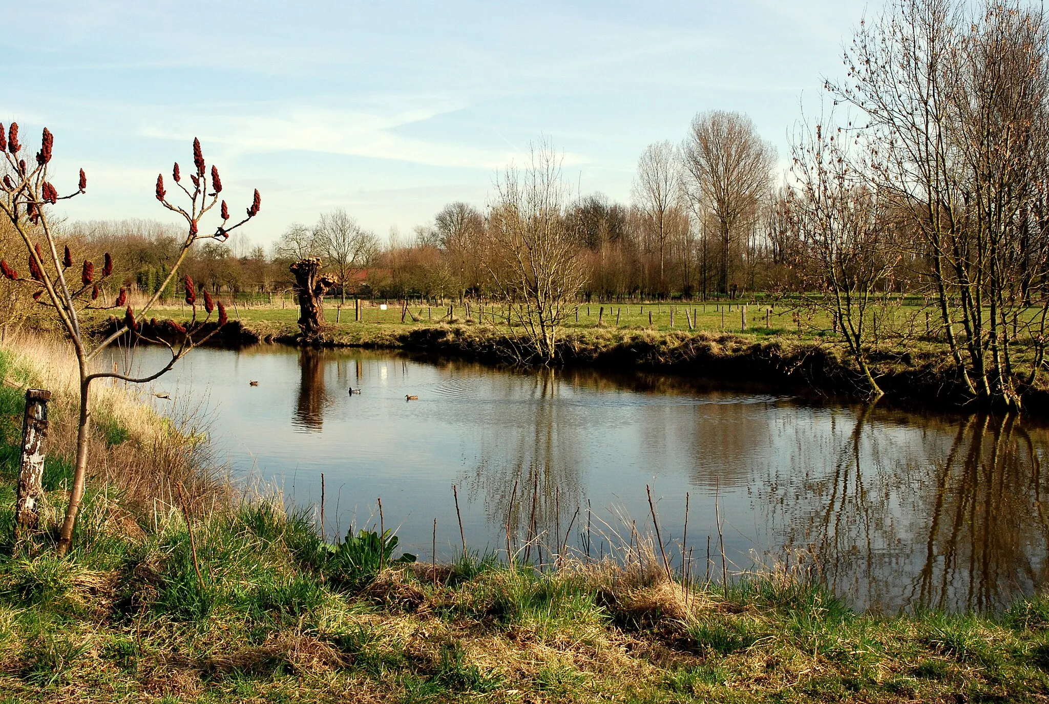 Photo showing: Het Doornhammeke in Zevergem, België