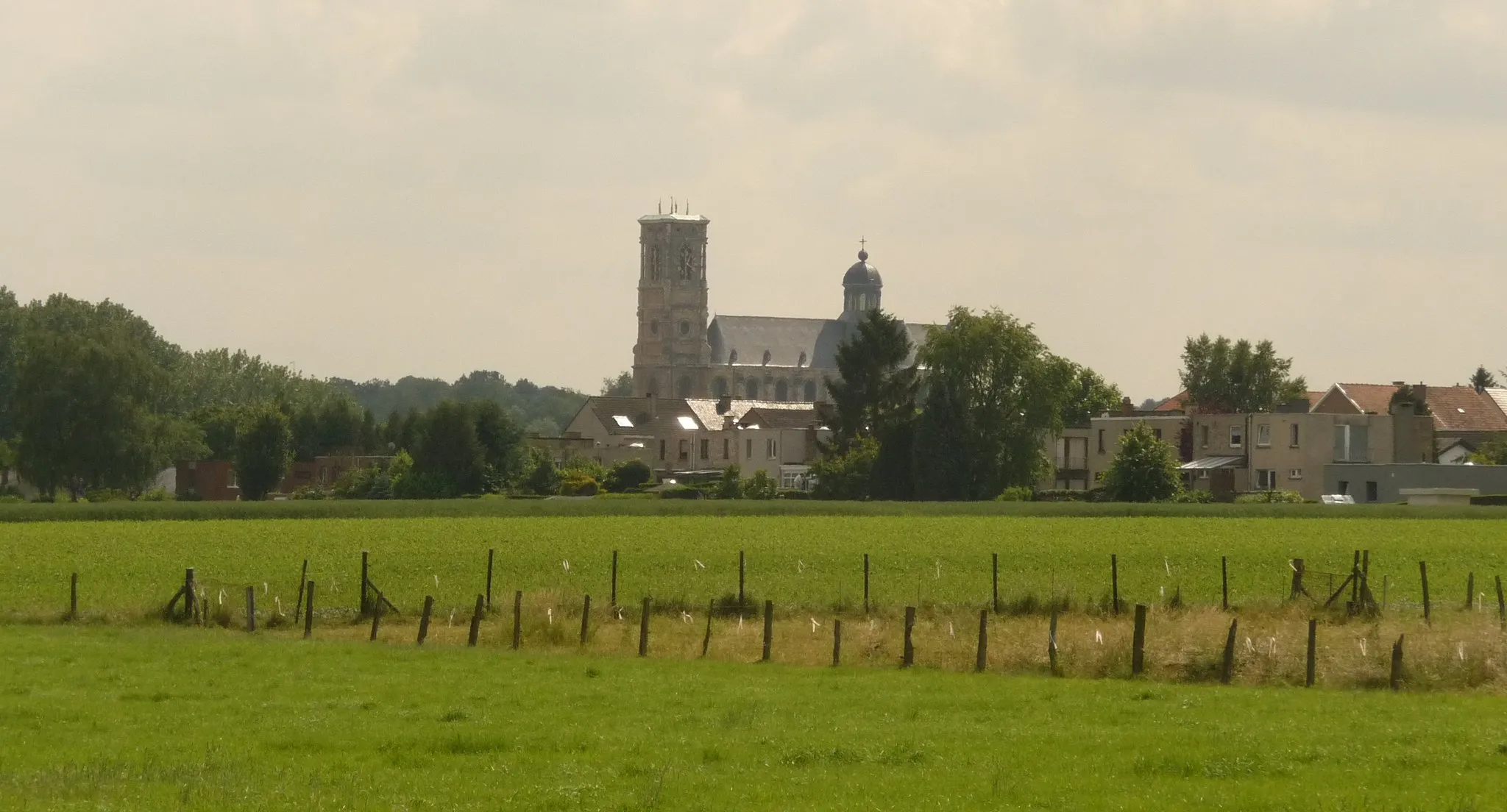 Photo showing: De Sint-Servaasbasiliek (Abdijkerk Grimbergen) gezien vanaf de kleine ingang van het Lintbos.