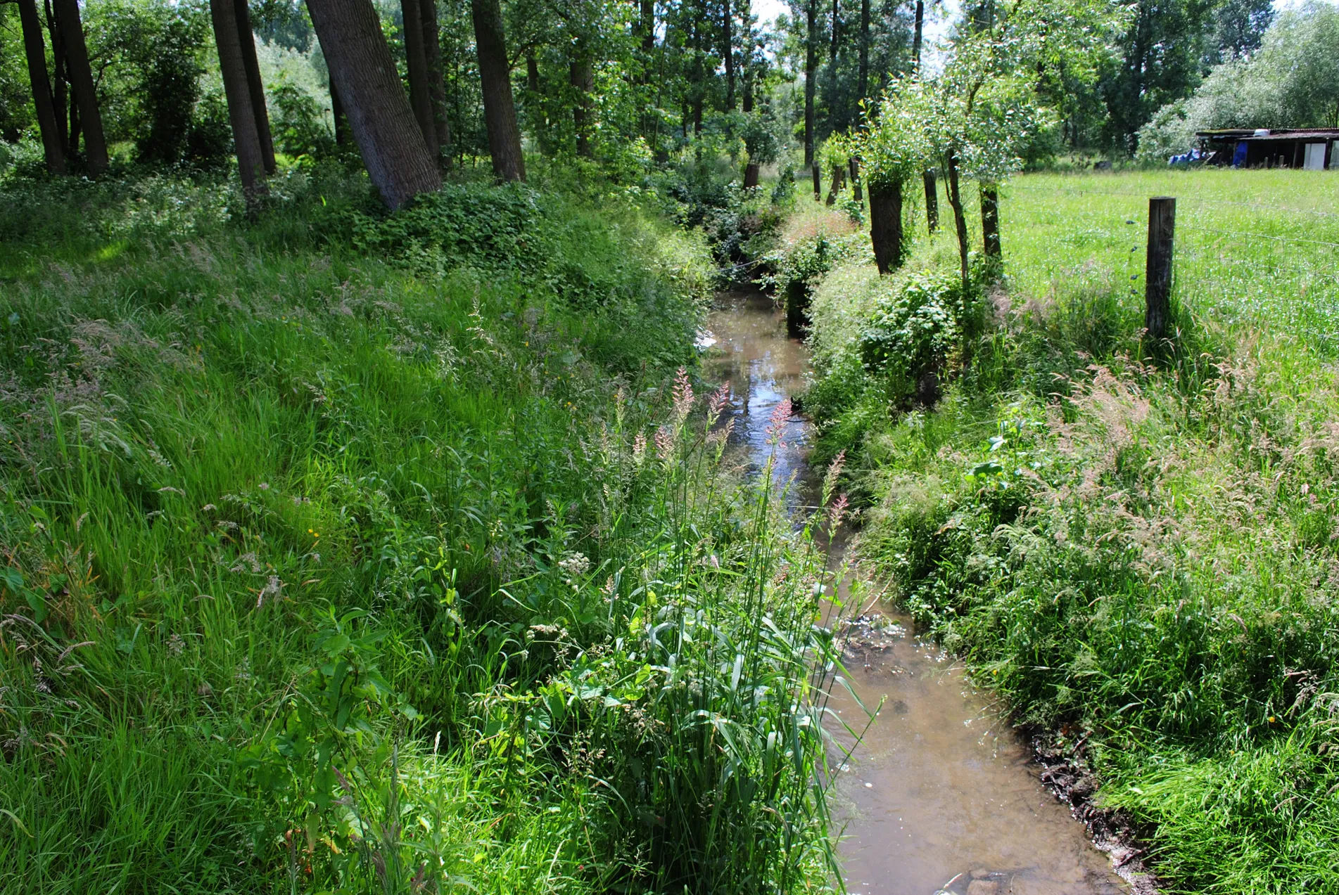 Photo showing: Lombeek creek at the village of Borchtlombeek, commune of Roosdaal, Belgium. Upstream view towards the South-Southeast. Nikon D60 f=18mm f/8 at 1/200s ISO 200. Colour corrected and reframed using Nikon ViewNX 1.0.3 and Adobe Photoshop 4.0.