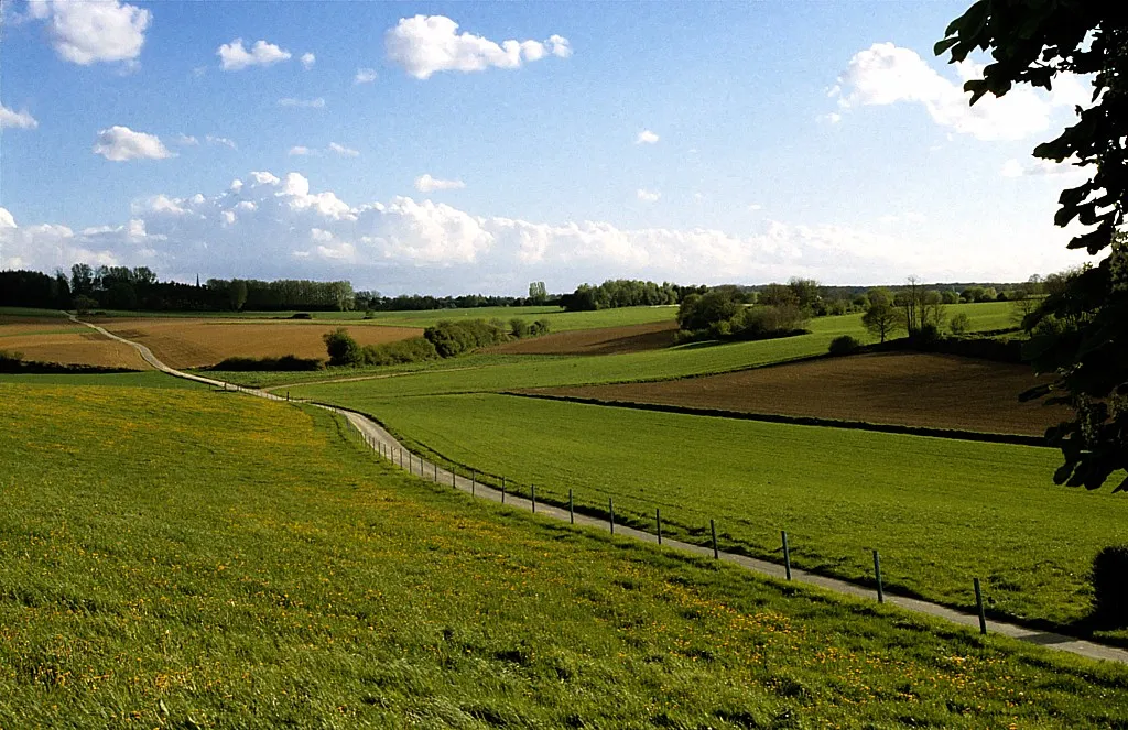 Photo showing: DescriptionDuisburg landelijke omgeving4.JPG

Duisburgs landschap.
Date

May 2005
Source

Own work
Author

Kris Buelens
Permission (Reusing this file)

publish